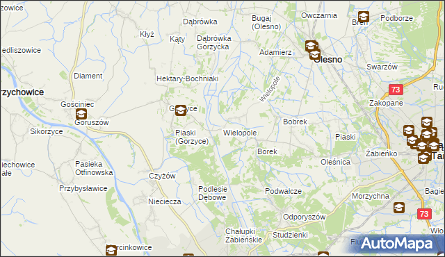 mapa Wielopole gmina Olesno, Wielopole gmina Olesno na mapie Targeo