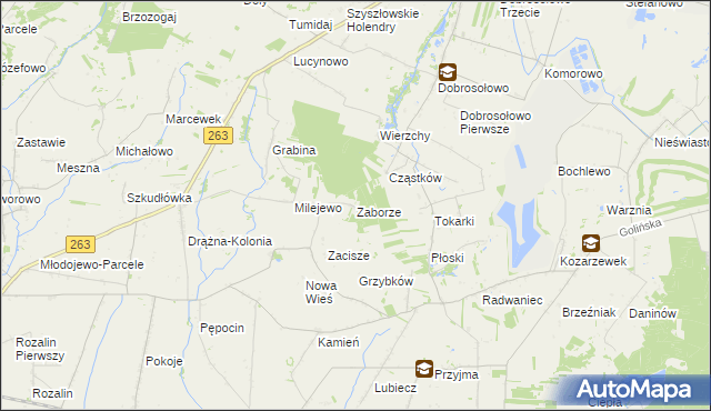 mapa Zaborze gmina Słupca, Zaborze gmina Słupca na mapie Targeo