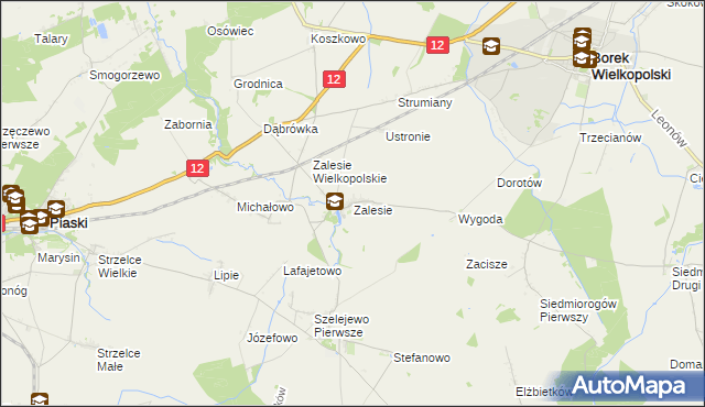 mapa Zalesie gmina Borek Wielkopolski, Zalesie gmina Borek Wielkopolski na mapie Targeo