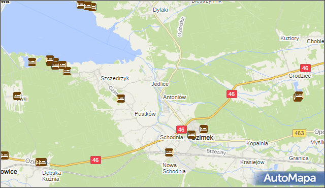 mapa Antoniów gmina Ozimek, Antoniów gmina Ozimek na mapie Targeo