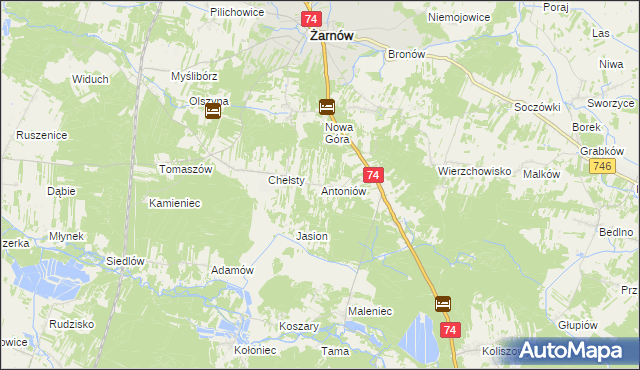 mapa Antoniów gmina Żarnów, Antoniów gmina Żarnów na mapie Targeo