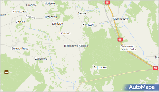 mapa Białaszewo, Białaszewo na mapie Targeo