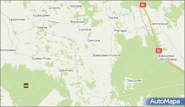 mapa Białaszewo-Kolonia, Białaszewo-Kolonia na mapie Targeo