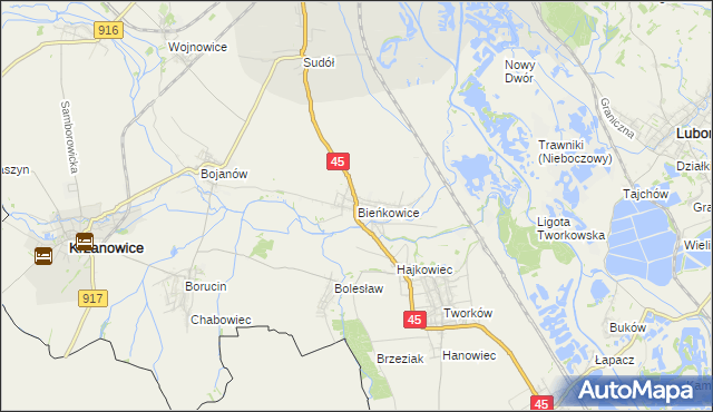mapa Bieńkowice gmina Krzyżanowice, Bieńkowice gmina Krzyżanowice na mapie Targeo