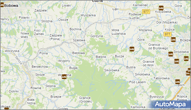 mapa Bieśnik gmina Łużna, Bieśnik gmina Łużna na mapie Targeo