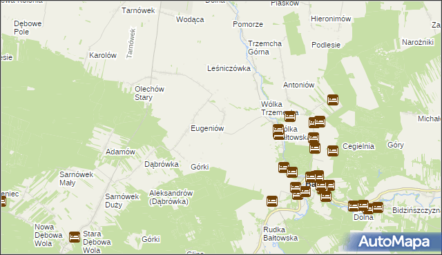 mapa Borcuchy gmina Bałtów, Borcuchy gmina Bałtów na mapie Targeo