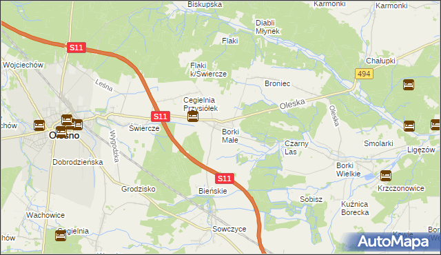 mapa Borki Małe gmina Olesno, Borki Małe gmina Olesno na mapie Targeo