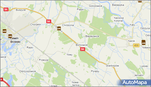 mapa Borkowice gmina Lewin Brzeski, Borkowice gmina Lewin Brzeski na mapie Targeo
