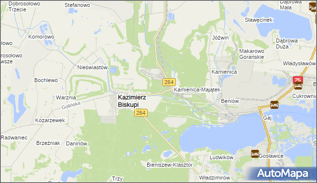 mapa Borowe gmina Kazimierz Biskupi, Borowe gmina Kazimierz Biskupi na mapie Targeo