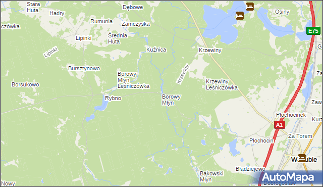 mapa Borowy Młyn gmina Warlubie, Borowy Młyn gmina Warlubie na mapie Targeo