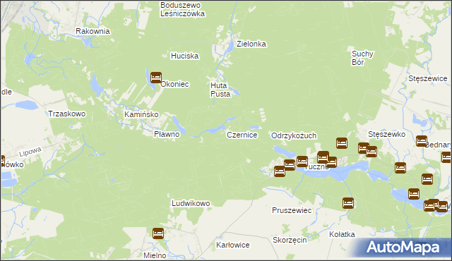 mapa Czernice gmina Murowana Goślina, Czernice gmina Murowana Goślina na mapie Targeo