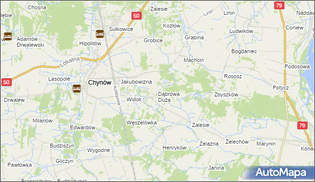 mapa Dąbrowa Duża gmina Chynów, Dąbrowa Duża gmina Chynów na mapie Targeo