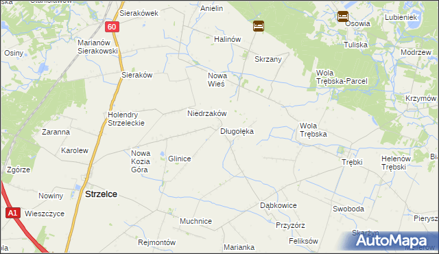 mapa Długołęka gmina Strzelce, Długołęka gmina Strzelce na mapie Targeo
