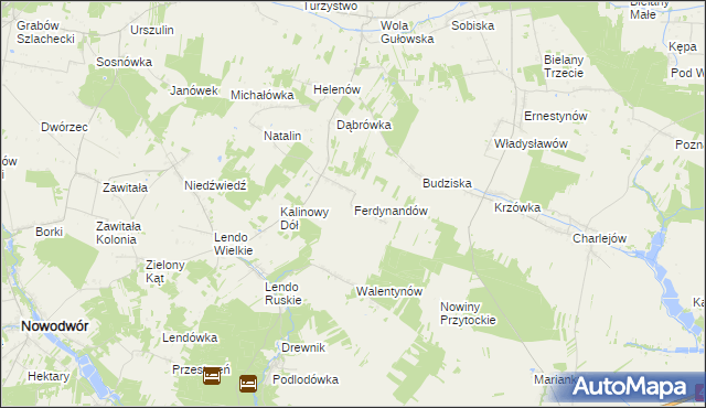 mapa Ferdynandów gmina Adamów, Ferdynandów gmina Adamów na mapie Targeo