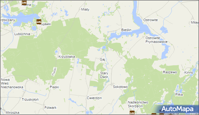 mapa Gaj gmina Witkowo, Gaj gmina Witkowo na mapie Targeo
