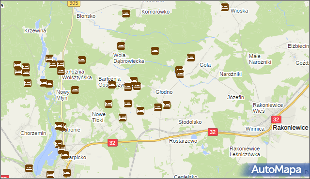 mapa Głodno gmina Rakoniewice, Głodno gmina Rakoniewice na mapie Targeo