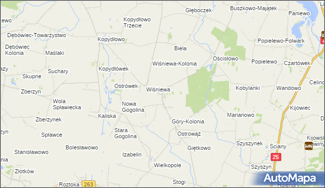 mapa Góry gmina Wilczyn, Góry gmina Wilczyn na mapie Targeo