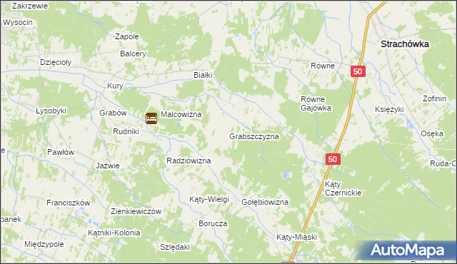 mapa Grabszczyzna, Grabszczyzna na mapie Targeo