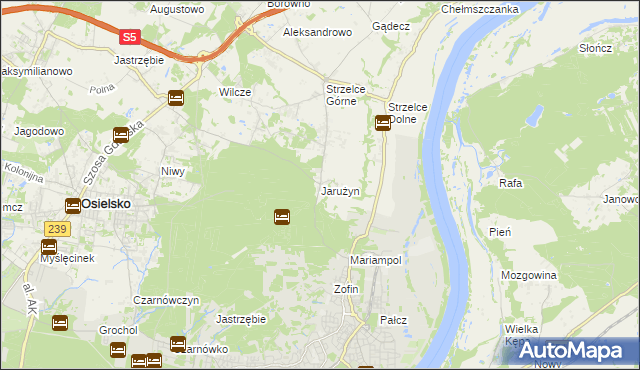mapa Jarużyn gmina Osielsko, Jarużyn gmina Osielsko na mapie Targeo