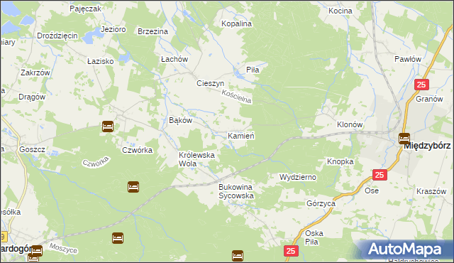 mapa Kamień gmina Międzybórz, Kamień gmina Międzybórz na mapie Targeo