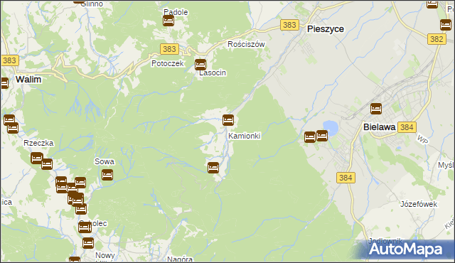 mapa Kamionki gmina Pieszyce, Kamionki gmina Pieszyce na mapie Targeo