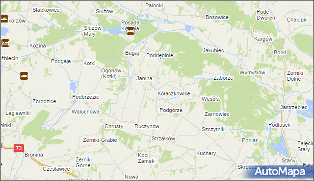 mapa Kołaczkowice gmina Busko-Zdrój, Kołaczkowice gmina Busko-Zdrój na mapie Targeo