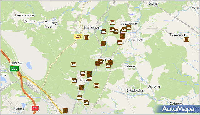mapa Koźlice gmina Rudna, Koźlice gmina Rudna na mapie Targeo
