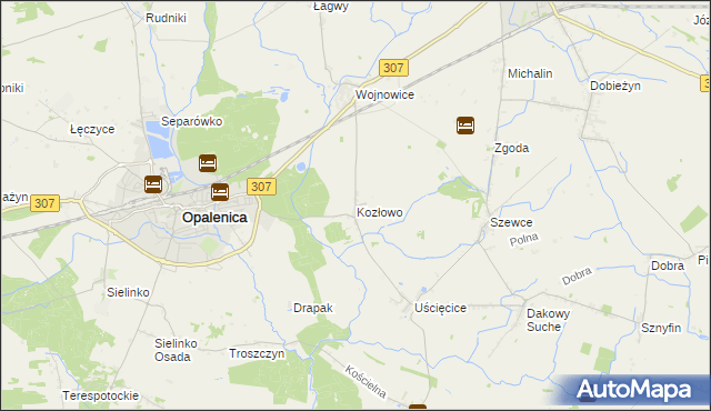 mapa Kozłowo gmina Opalenica, Kozłowo gmina Opalenica na mapie Targeo