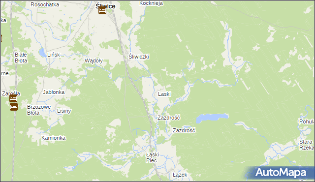 mapa Laski gmina Śliwice, Laski gmina Śliwice na mapie Targeo