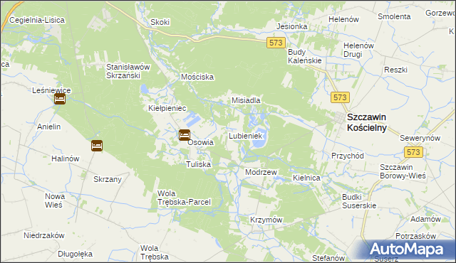 mapa Lubieniek, Lubieniek na mapie Targeo