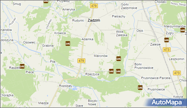 mapa Marcinów gmina Zadzim, Marcinów gmina Zadzim na mapie Targeo