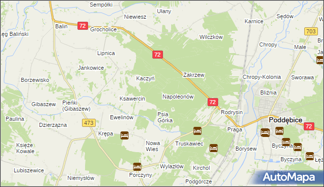 mapa Napoleonów gmina Poddębice, Napoleonów gmina Poddębice na mapie Targeo