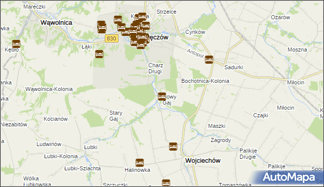 mapa Nowy Gaj gmina Wojciechów, Nowy Gaj gmina Wojciechów na mapie Targeo
