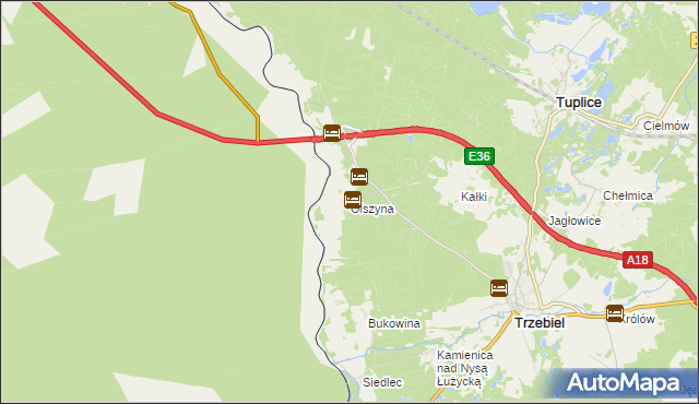 mapa Olszyna gmina Trzebiel, Olszyna gmina Trzebiel na mapie Targeo