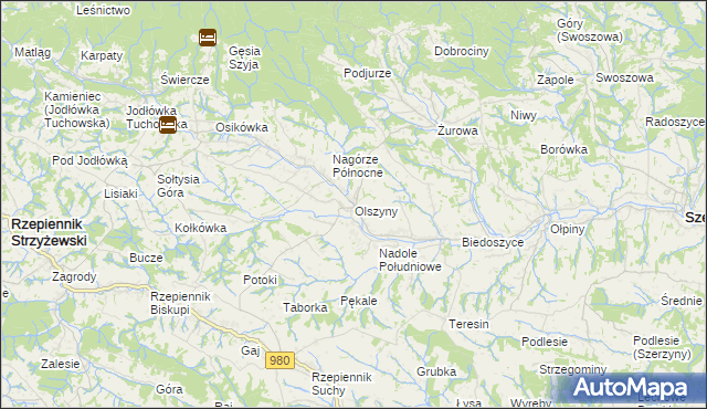 mapa Olszyny gmina Rzepiennik Strzyżewski, Olszyny gmina Rzepiennik Strzyżewski na mapie Targeo