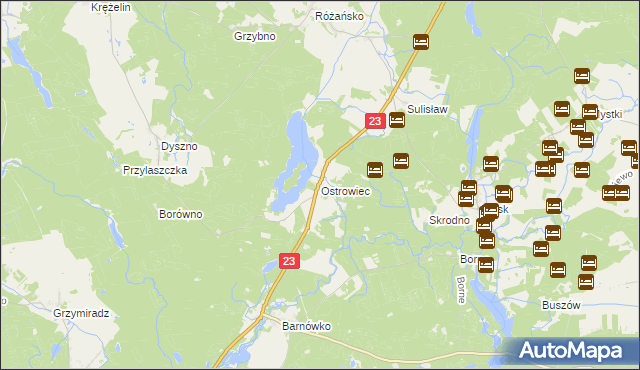 mapa Ostrowiec gmina Dębno, Ostrowiec gmina Dębno na mapie Targeo