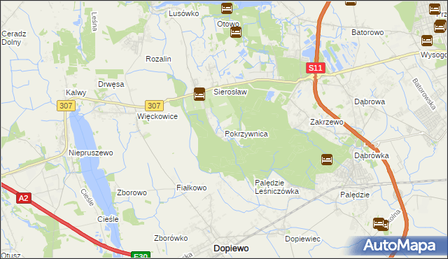 mapa Pokrzywnica gmina Dopiewo, Pokrzywnica gmina Dopiewo na mapie Targeo