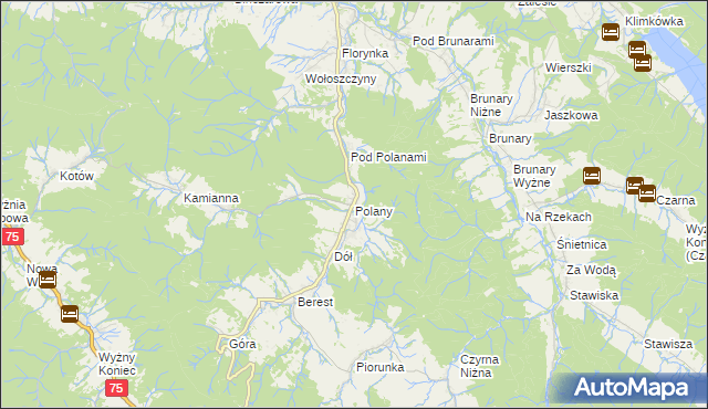 mapa Polany gmina Krynica-Zdrój, Polany gmina Krynica-Zdrój na mapie Targeo