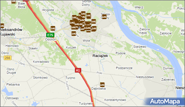 mapa Raciążek, Raciążek na mapie Targeo