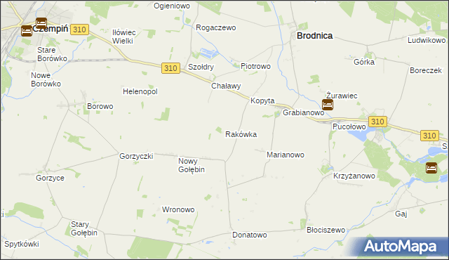 mapa Rakówka gmina Czempiń, Rakówka gmina Czempiń na mapie Targeo