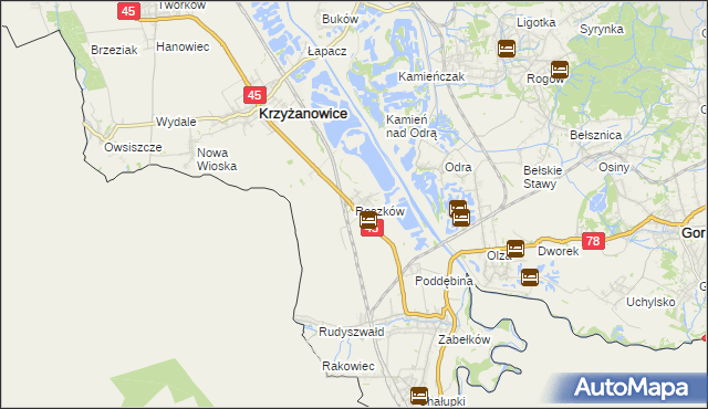 mapa Roszków gmina Krzyżanowice, Roszków gmina Krzyżanowice na mapie Targeo