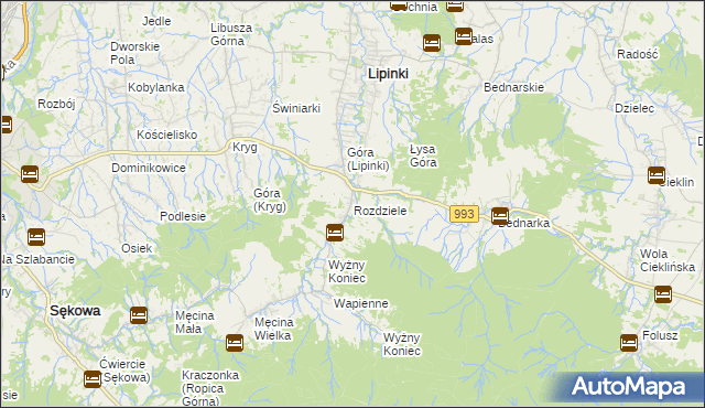 mapa Rozdziele gmina Lipinki, Rozdziele gmina Lipinki na mapie Targeo