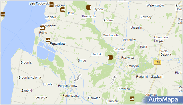 mapa Rudniki gmina Pęczniew, Rudniki gmina Pęczniew na mapie Targeo