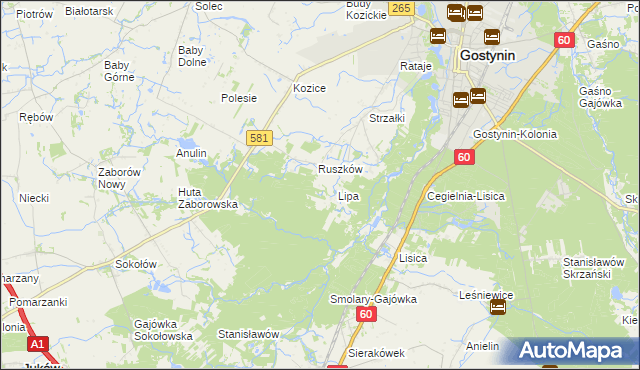 mapa Sałki gmina Gostynin, Sałki gmina Gostynin na mapie Targeo