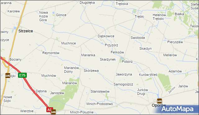 mapa Skarżynek gmina Oporów, Skarżynek gmina Oporów na mapie Targeo