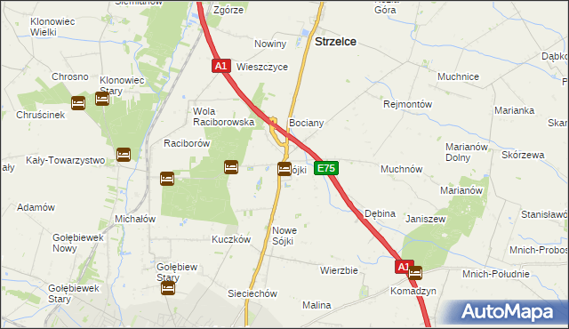 mapa Sójki gmina Strzelce, Sójki gmina Strzelce na mapie Targeo