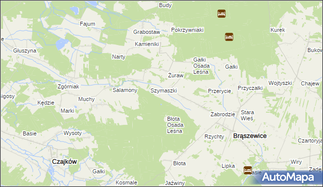 mapa Sowizdrzały gmina Brąszewice, Sowizdrzały gmina Brąszewice na mapie Targeo