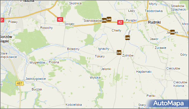 mapa Tokary gmina Praszka, Tokary gmina Praszka na mapie Targeo