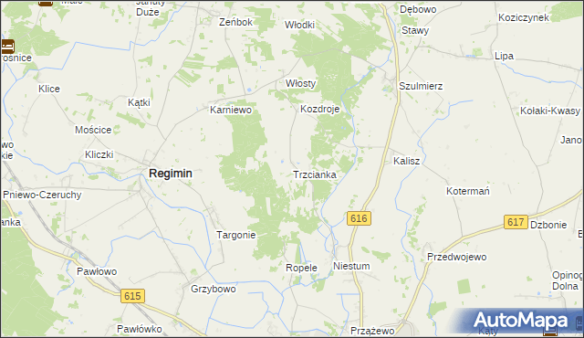 mapa Trzcianka gmina Regimin, Trzcianka gmina Regimin na mapie Targeo