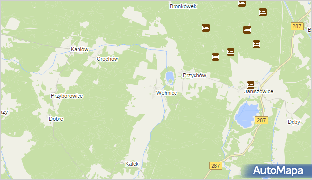 mapa Wełmice, Wełmice na mapie Targeo